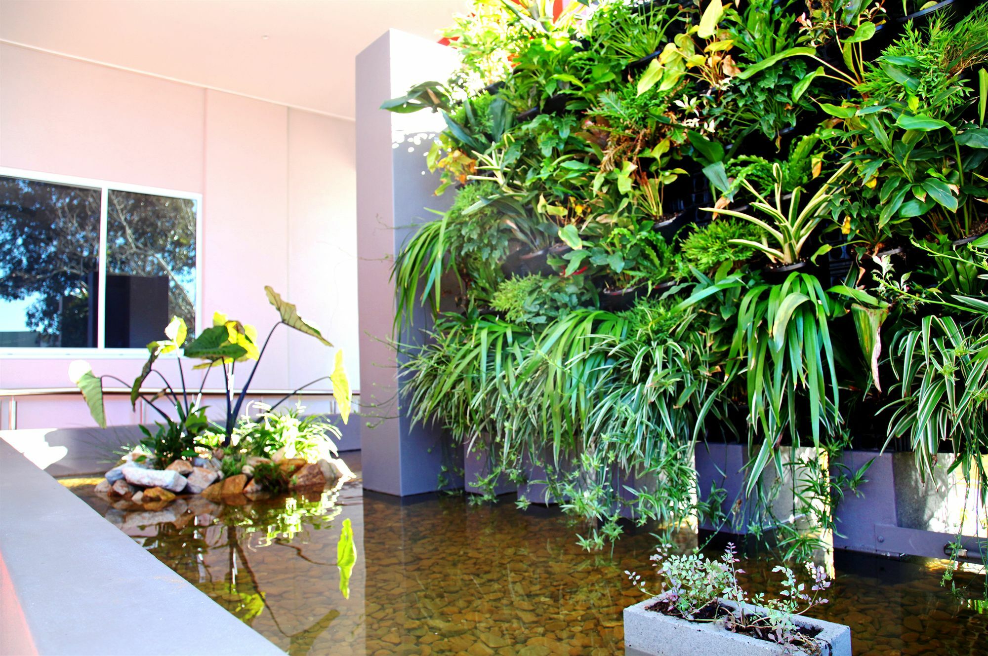 Laguna Serviced Apartments Toowoomba Exteriör bild